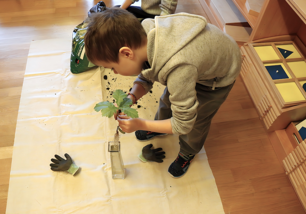 Montessori House of Kids - Elementary children