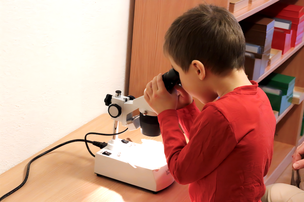 Montessori House of Kids - Elementary children